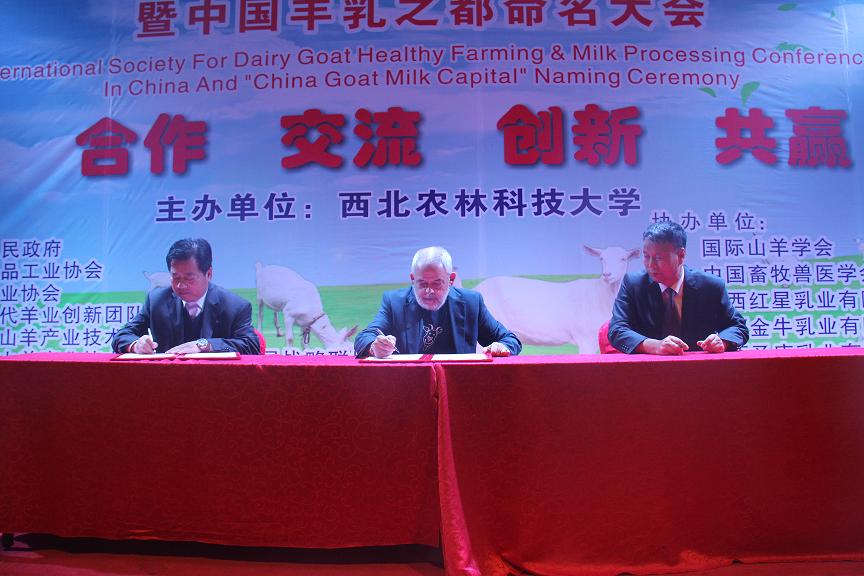 宝马bm1122线路顶级(中国游)有限公司官网