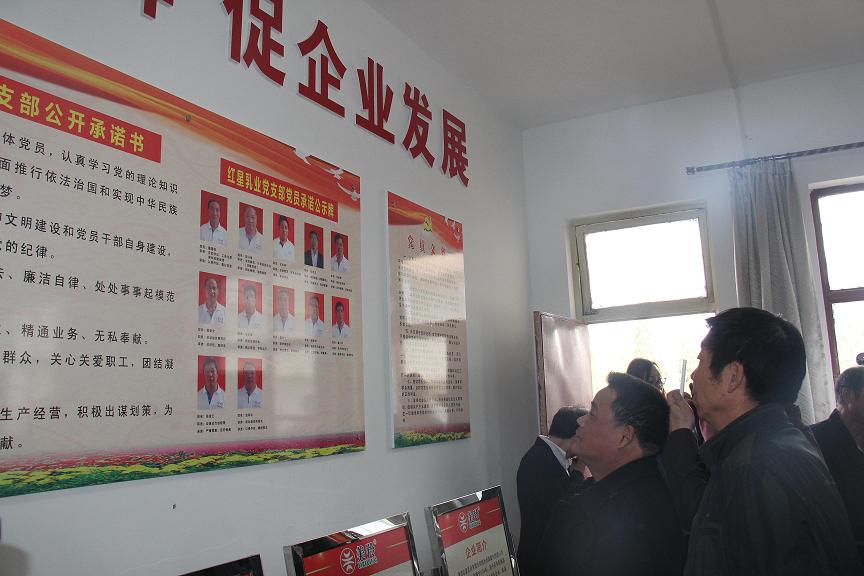 宝马bm1122线路顶级(中国游)有限公司官网