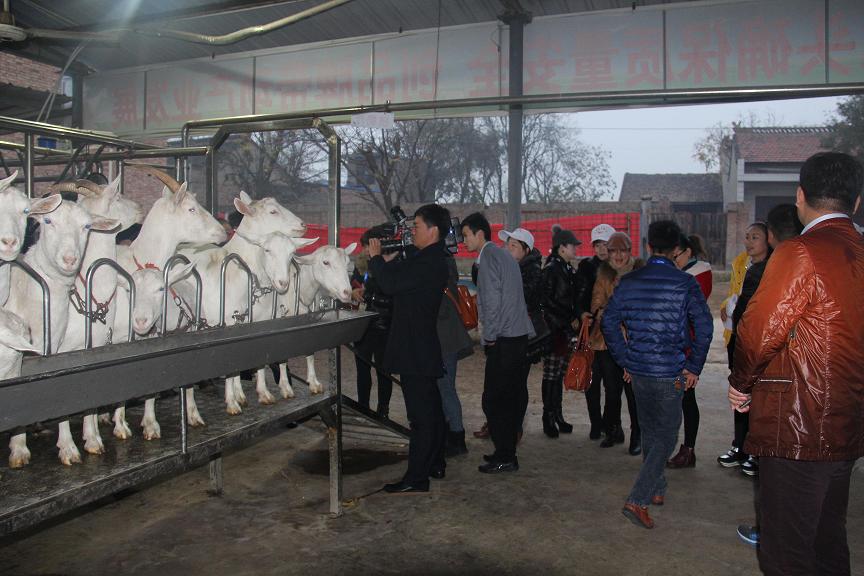 宝马bm1122线路顶级(中国游)有限公司官网