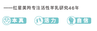 1725094031906765.png 品牌理想-1.png