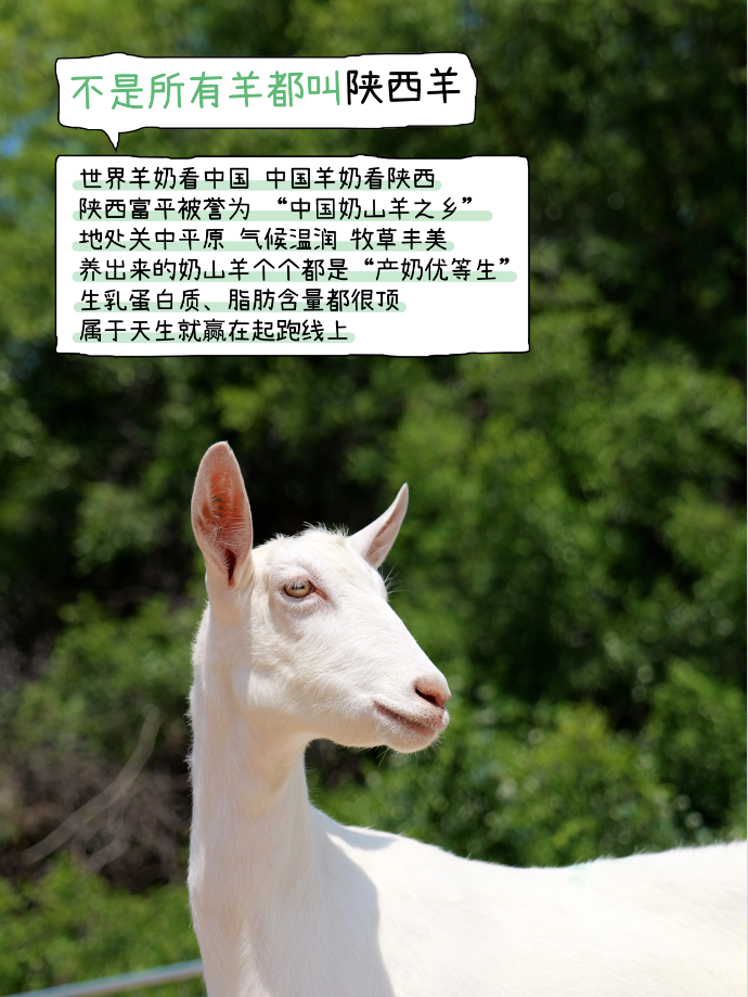1774603285147415.png image.png